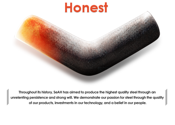 Honesty-Challenging impurities-free with refining mind, Beautifying the world with wisdom and scrupulous action. We Make the World a Better Place
